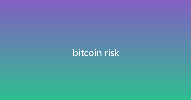 bitcoin risk 